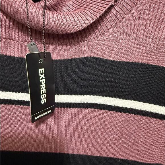 Express Women’s Large Ribbed Striped Turtle Neck Short Sleeve Sweater - Picture 5 of 10